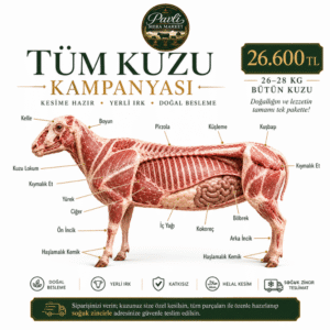 Tüm Kuzu Kampanyası